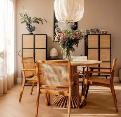 Esszimmerstuhl Armlehnstuhl Nova Teak Rattan Wiener Geflecht-Raw Materials Clearance