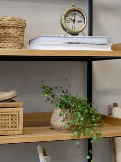 Französisches Standregal Hochregal Bücherregal Raphaël Vintage 6 Holzböden 210/100-Chic Antique Discount