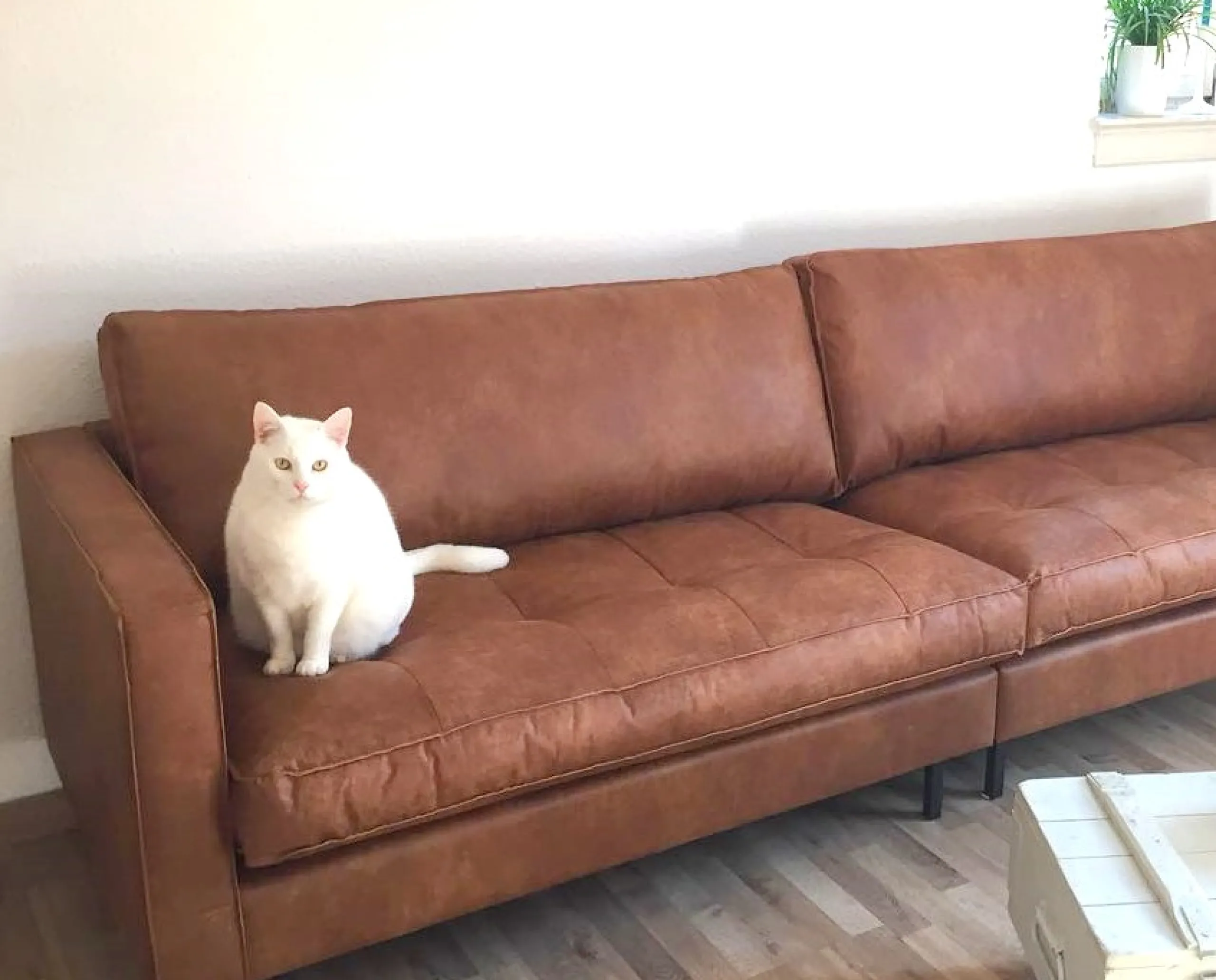 Ledersofa Classic Rodeo Chesterfield 3-Sitzer Cognac 275-BePureHome Discount