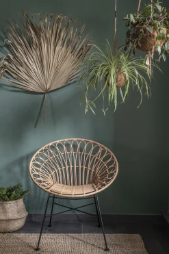 Rattansessel Hacienda PE-Rattan Peacock In/Outdoor Natur-Vintagehaus Hot