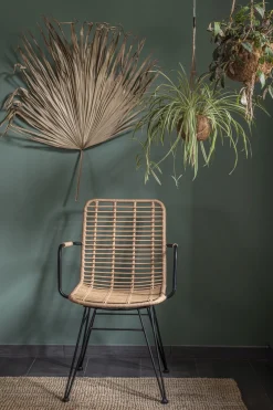 Rattanstuhl Esszimmerstuhl Hacienda Vela PE-Rattan Armlehne In/Outdoor Natur-Vintagehaus Discount