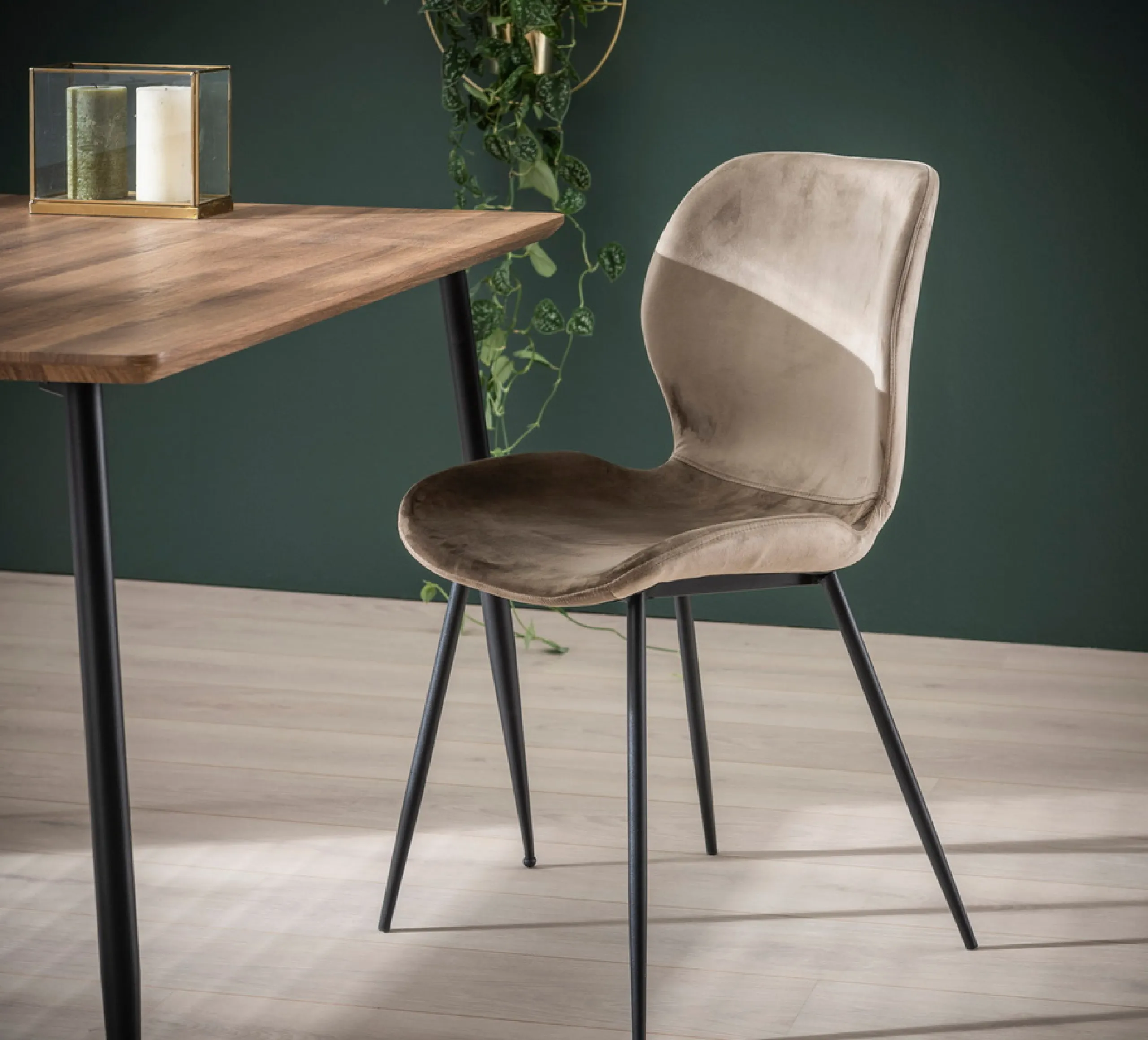 Retro Esszimmerstuhl Velvet Samt Champagner-Vintagehaus Hot