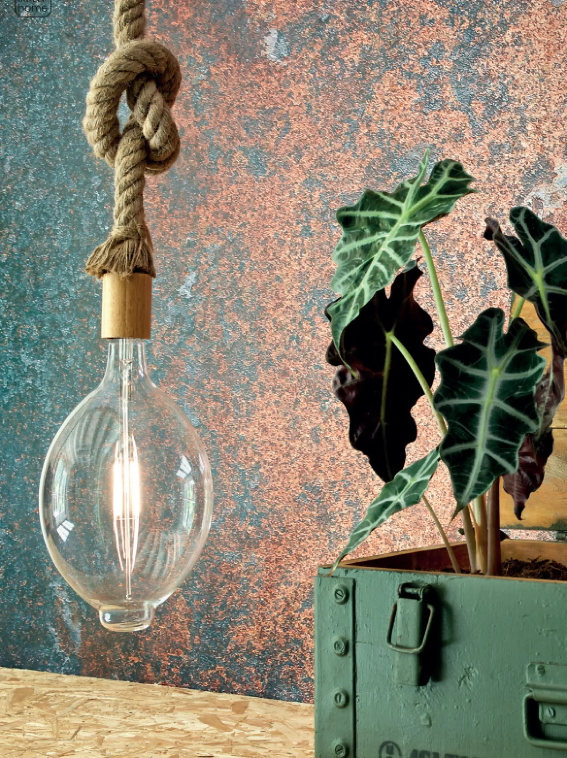 Vintage LED Glühbirne XXL Oval 33 x 18 cm dimmbar Klarglas-Vintagehaus Lampen Clearance