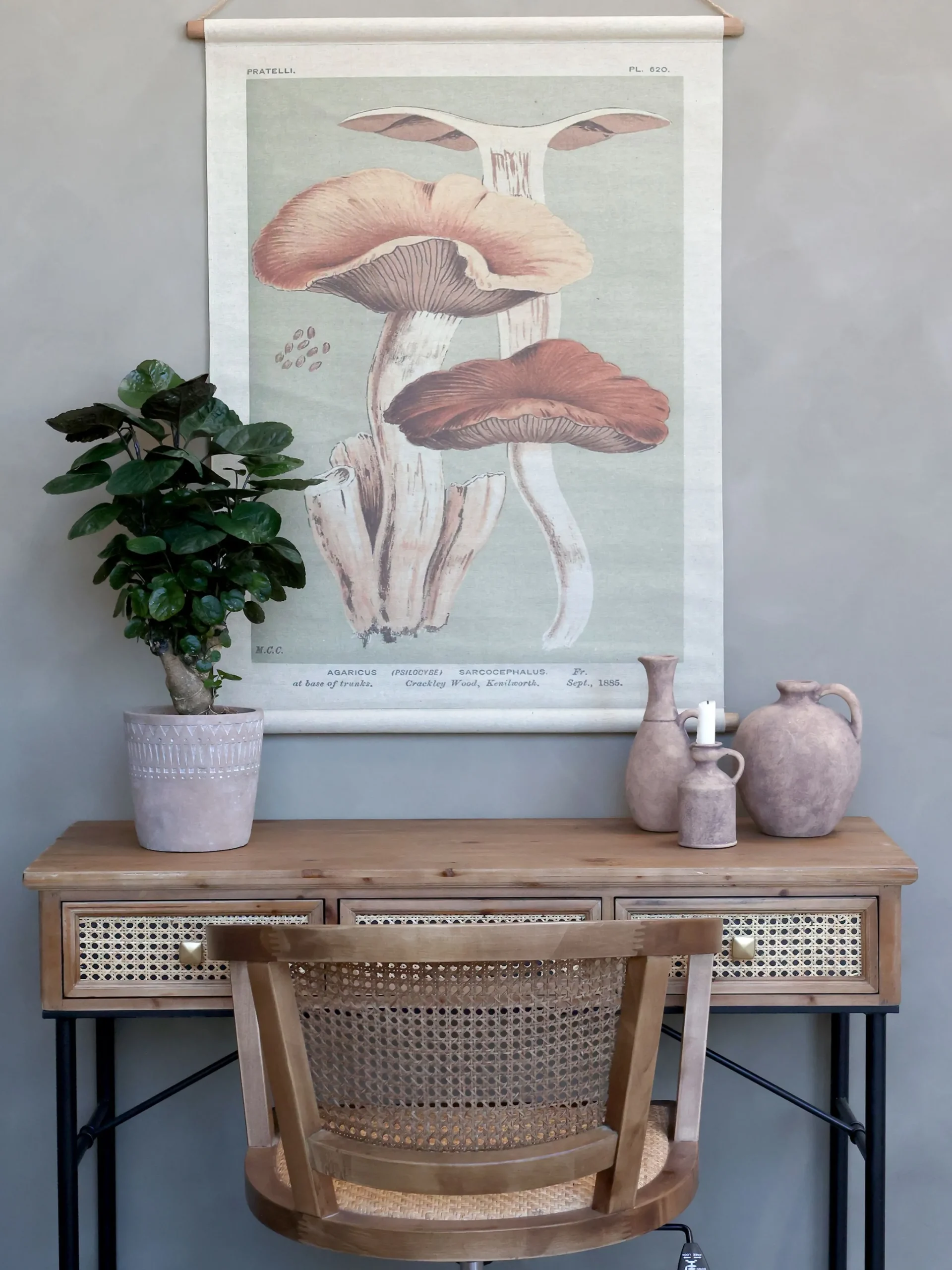 Vintage Leinwandbild Pilze Französischer Floradruck 97/76 cm-Chic Antique Best