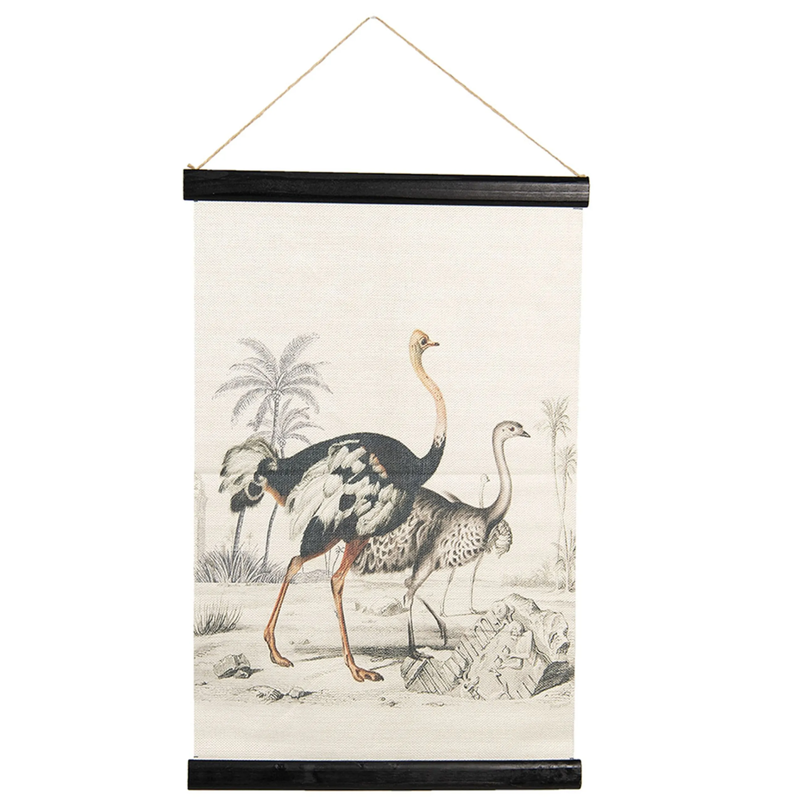 Vintage Leinwandbild Vogel Strauß Faunadruck 60/40 cm-Vintagehaus Accessoires Discount